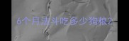 6个月法斗吃多少狗粮
