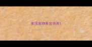 美国宠物美容资质
