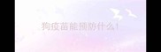 狗疫苗能预防什么