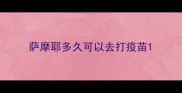 萨摩耶多久可以去打疫苗