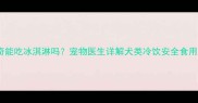 哈士奇能吃冰淇淋吗宠物医生详解犬类冷饮安全食用指南