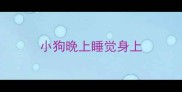 小狗晚上睡觉身上