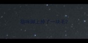 猫咪脚上掉了一块毛