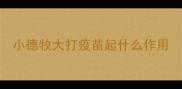 小德牧大打疫苗起什么作用