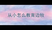 从小怎么教育边牧