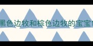 黑色边牧和棕色边牧的宝宝