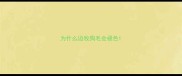 为什么边牧狗毛会褪色