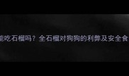 哈士奇能吃石榴吗全石榴对狗狗的利弊及安全食用指南