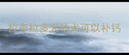 拉布拉多犬幼犬可以补钙
