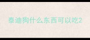 泰迪狗什么东西可以吃