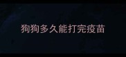 狗狗多久能打完疫苗