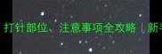 猫咪疫苗必看打针部位注意事项全攻略新手养猫必读干货