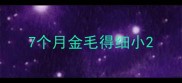 7个月金毛得细小