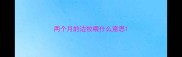 两个月的边牧喂什么意思