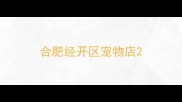 合肥经开区宠物店