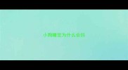 小狗睡觉为什么会抖