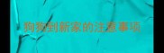 狗狗到新家的注意事项
