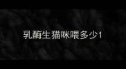 乳酶生猫咪喂多少