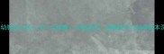 金毛幼崽多少钱一只全攻略价格区间选购技巧与饲养成本深度
