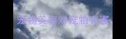 宠物美容对宠物有害
