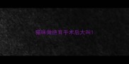 猫咪做绝育手术后大叫