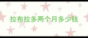 拉布拉多两个月多少钱