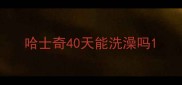 哈士奇40天能洗澡吗