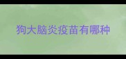 狗大脑炎疫苗有哪种