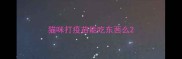 猫咪打疫苗能吃东西么