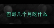 巴哥几个月吃什么