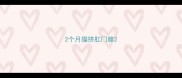 2个月猫挤肛门腺
