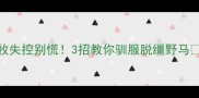 边牧失控别慌3招教你驯服脱缰野马