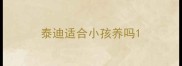 泰迪适合小孩养吗