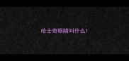 哈士奇眼睛叫什么