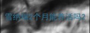 雪纳瑞2个月能养活吗