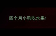 四个月小狗吃水果