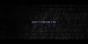 边牧2个月能训练了吗