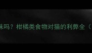 猫咪喜欢柑橘味吗柑橘类食物对猫的利弊全附安全清单