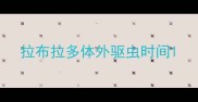 拉布拉多体外驱虫时间