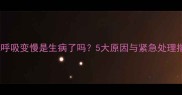 猫咪呼吸变慢是生病了吗5大原因与紧急处理指南
