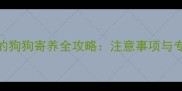 未完成疫苗接种的狗狗寄养全攻略注意事项与专业机构选择指南