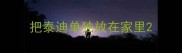 把泰迪单独放在家里
