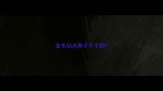 金毛幼犬鼻子干干的