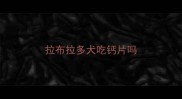 拉布拉多犬吃钙片吗