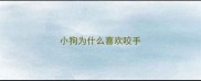 小狗为什么喜欢咬手