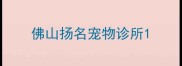 佛山扬名宠物诊所