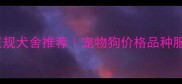 南京正规犬舍推荐宠物狗价格品种服务全