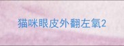 猫咪眼皮外翻左氧