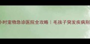 成都24小时宠物急诊医院全攻略毛孩子突发疾病别慌张