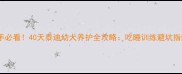 新手必看40天泰迪幼犬养护全攻略吃睡训练避坑指南